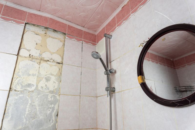 Top Shower Remodeling Companies in Fort Myers, FL