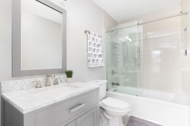 Top Tub To Shower Conversion Companies in Cape Coral, FL