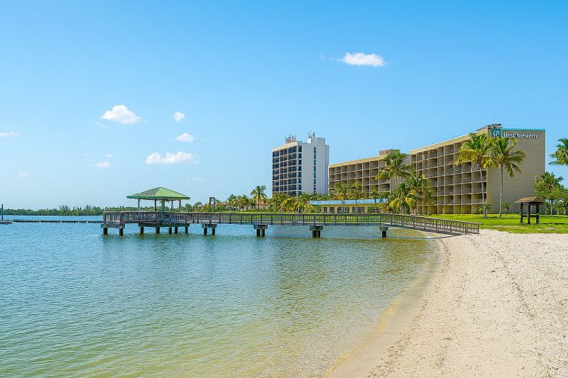Best Tub To Shower Conversion pros in North Fort Myers, FL